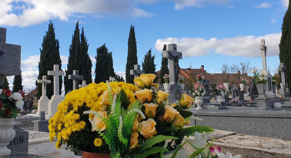 El Ayuntamiento elabora un protocolo de actuación en el cementerio frente  al COVID-19 con motivo de la festividad de Todos los Santos - Actualidad -  Ayuntamiento de Villaviciosa de Odón