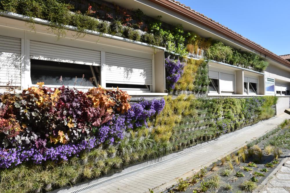 Nuevo jardín vertical en la Escuela de Capacitación Agraria - Actualidad -  Ayuntamiento de Villaviciosa de Odón