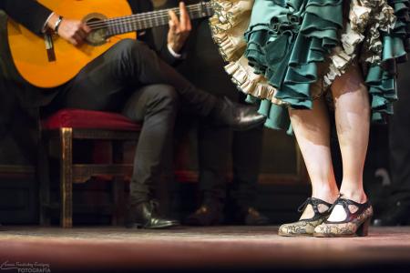 Imagen Noches de Flamenco