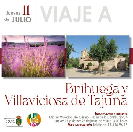 Imagen Viaje a Brihuega y Villaviciosa de Tajuña
