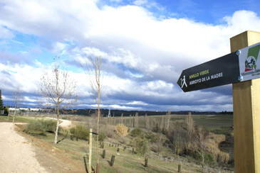 hemeroteca