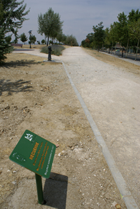 hemeroteca