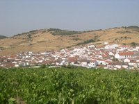 hemeroteca
