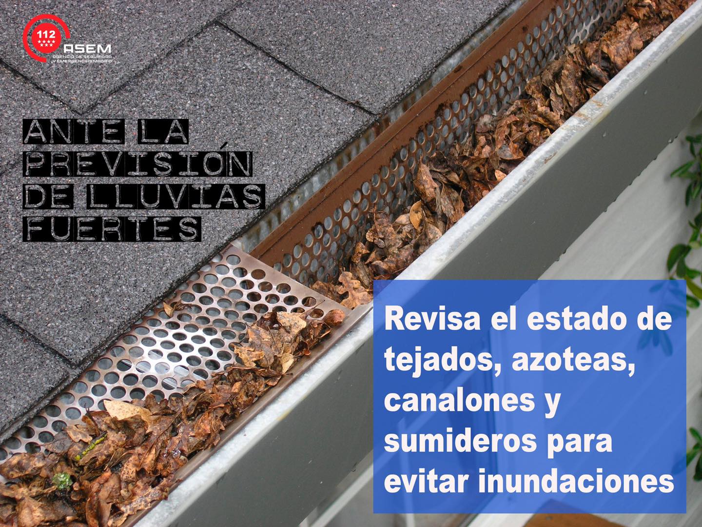 hemeroteca