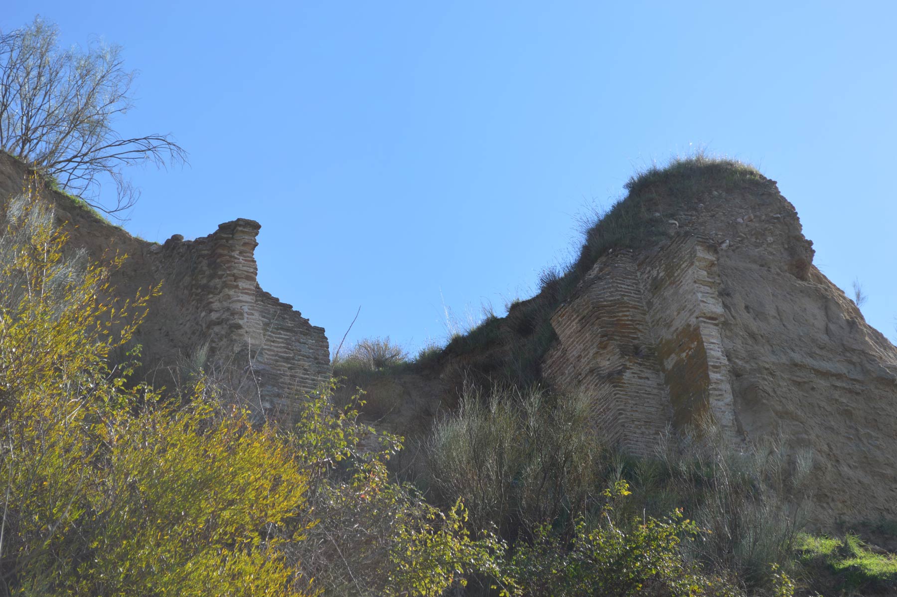 hemeroteca