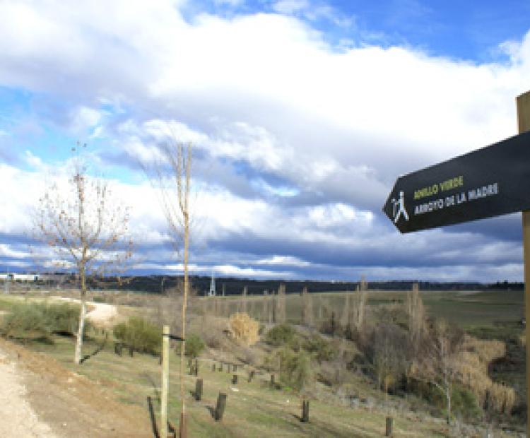 hemeroteca