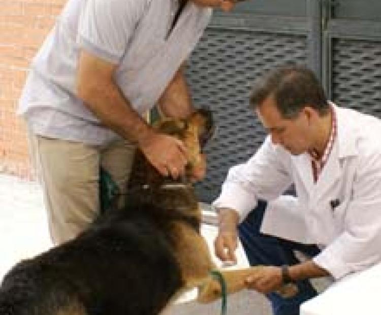 hemeroteca