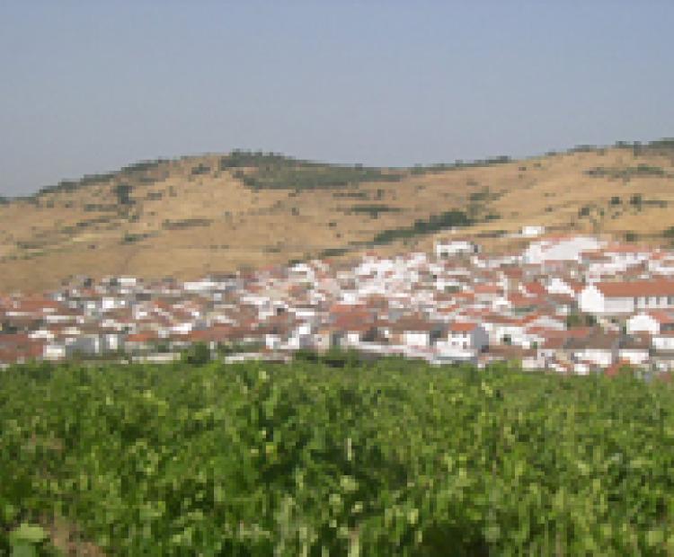 hemeroteca