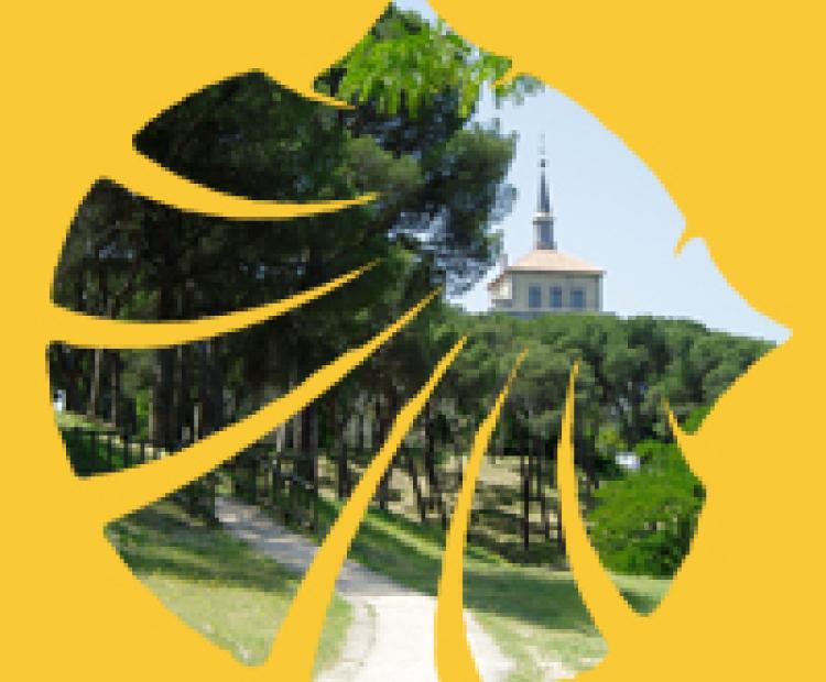 hemeroteca