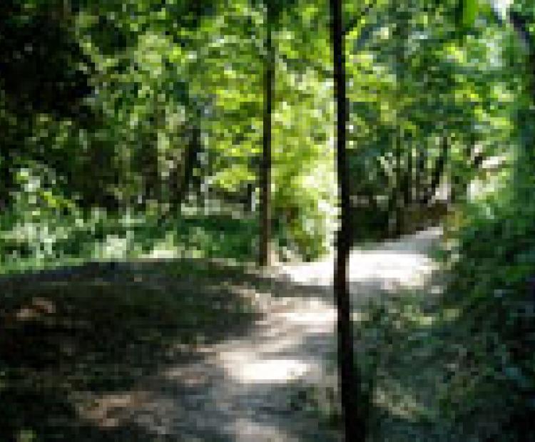 hemeroteca