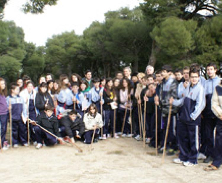 hemeroteca