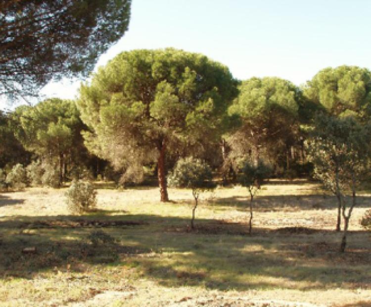 hemeroteca