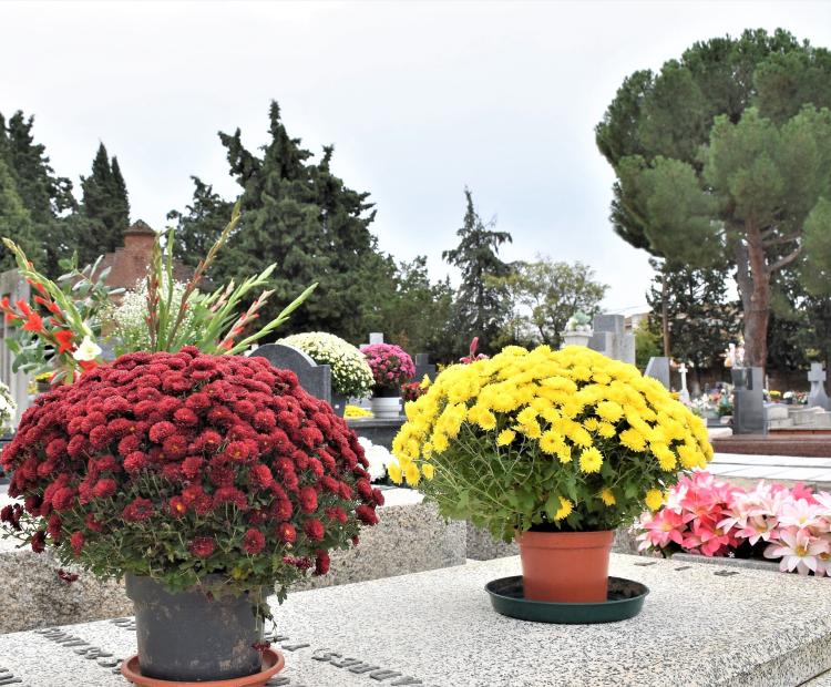 hemeroteca