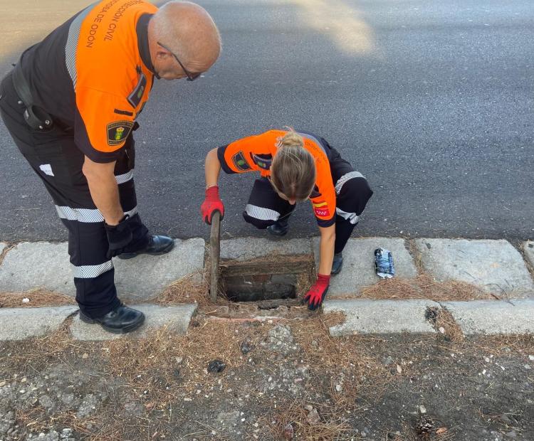 hemeroteca