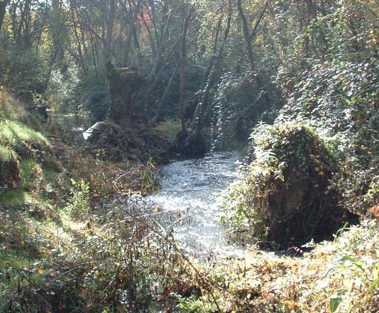 hemeroteca