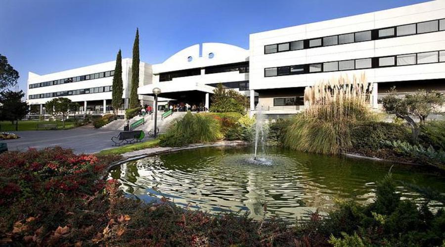 ue universidad