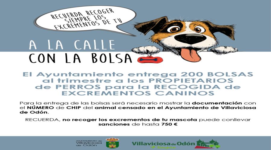 imagen previa 2026